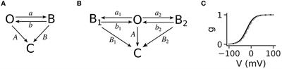Glutamate spillover drives robust all-or-none dendritic plateau potentials—an in silico investigation using models of striatal projection neurons